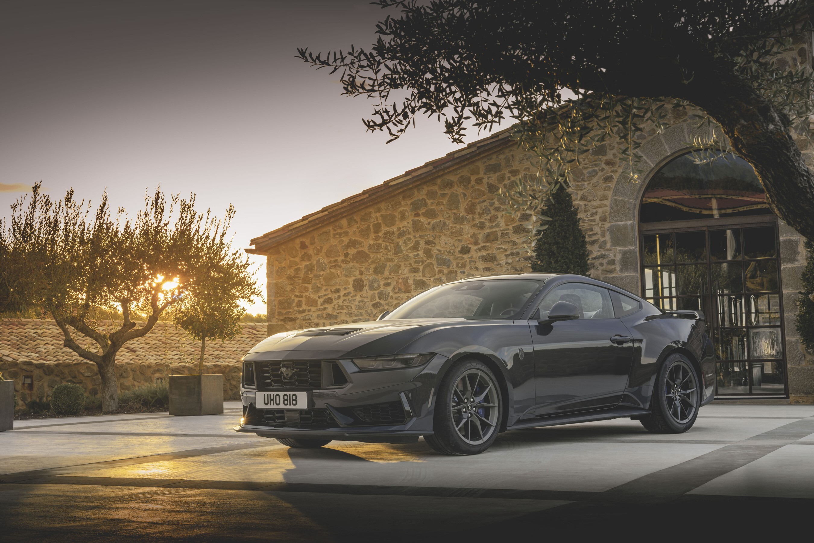 Mustang Dark Horse