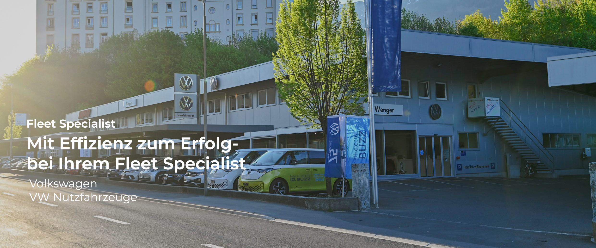 Firmenkunden | Dealer Fleet Specialist